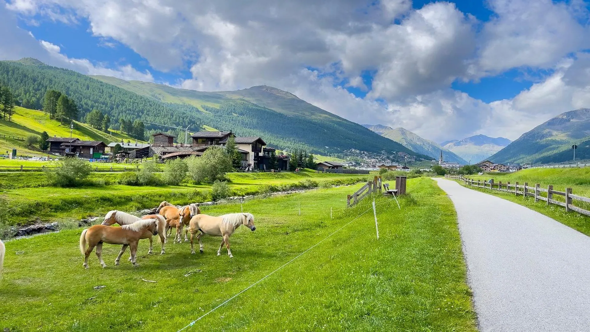 Apartment Gembro - Happy Rentals Livigno